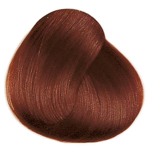 FRAMCOLOR 2001