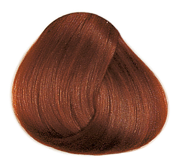 FRAMCOLOR 2001