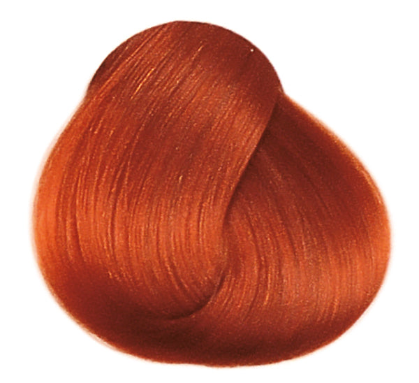 Framcolor 2001