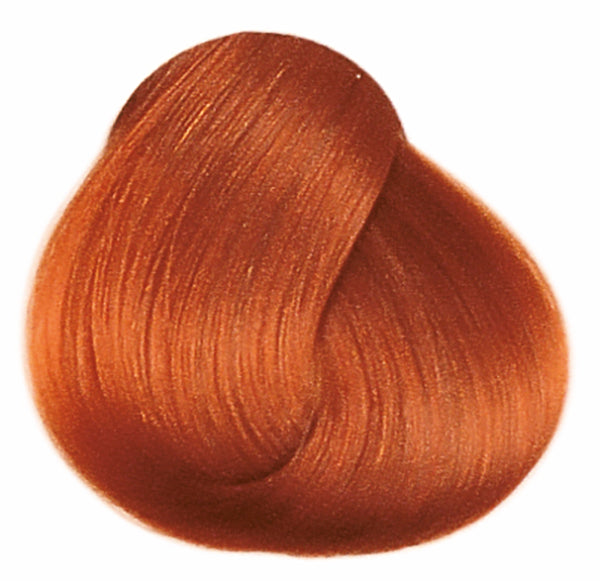 FRAMCOLOR 2001
